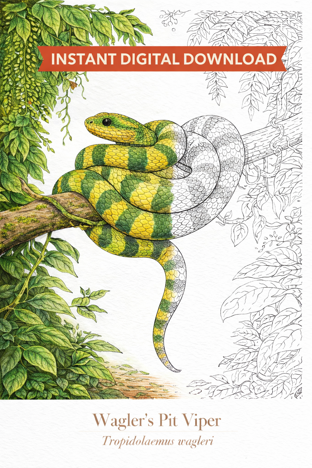 Snakes Coloring Book for Adults – 30 Printable Pages for Relaxation & Mindfulness - Image 3
