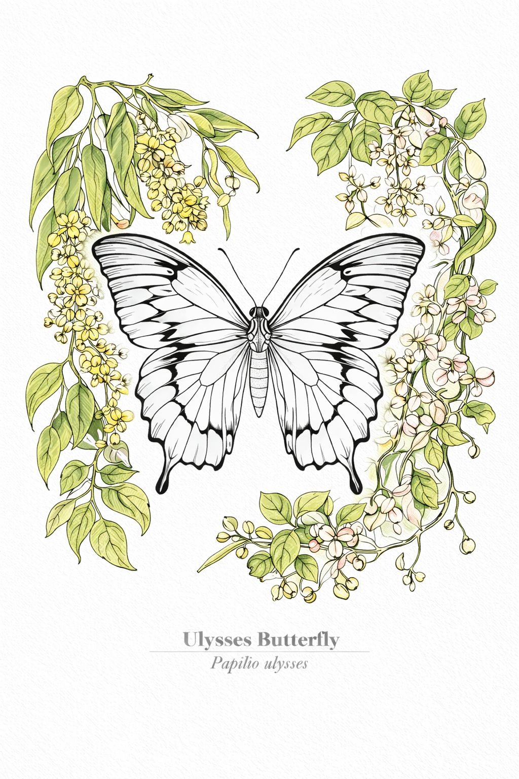 Butterfly Coloring Journal for Mindfulness & Anxiety Relief – 62 Pages - Image 5