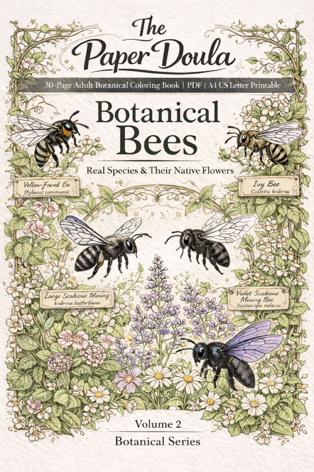 30-page PDF adult bees coloring Book featuring botanical and bee illustrations for mindfulness, stress relief, and creative relaxation.