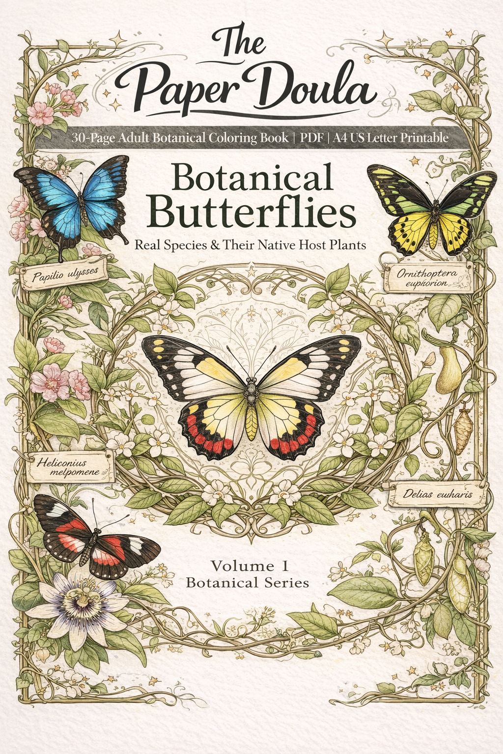 30-page butterflies coloring book PDF for adults featuring detailed printable butterfly designs for mindfulness, stress relief, and relaxation.