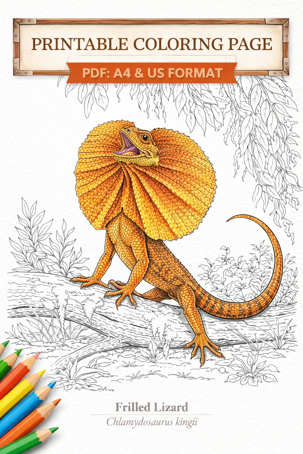 Botanical Coloring Books Bundle for Adults – Stress Relief and Fear-fighting tool - Image 5
