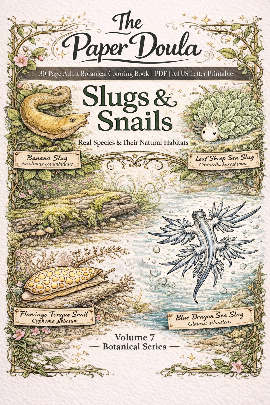 Slugs and Snails Coloring Book cover showing playful cartoon snails and slugs in whimsical scenes for kids and adults